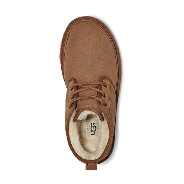 Ugg Støvler Neumel Brun EU 36 Kvinde