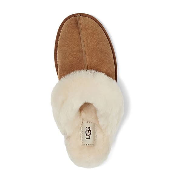 Ugg Tofflor Scuffette Ii Brun EU 36 Man