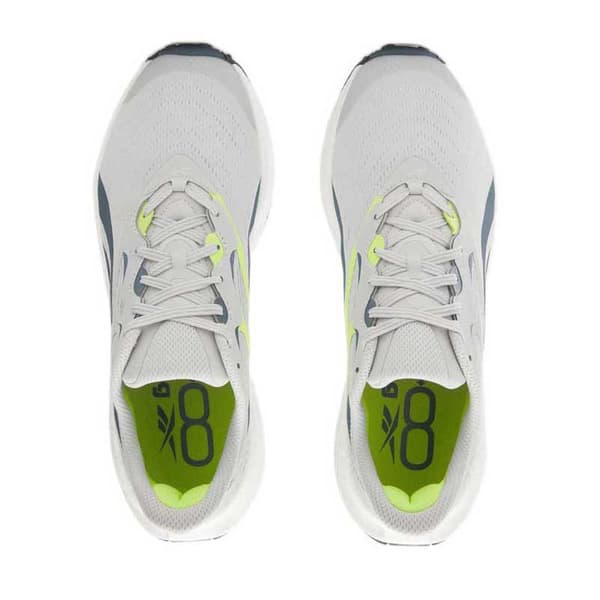 Reebok Classics Utbildare Floatride Energy 5 Grå EU 42 Man