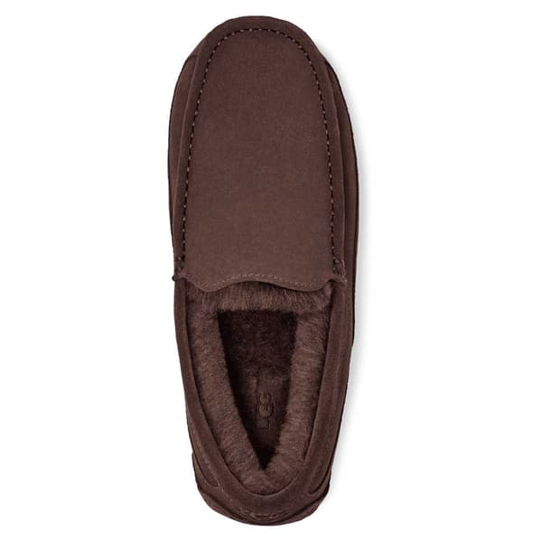 Ugg Tossut Ascot Ruskea EU 40 Mies