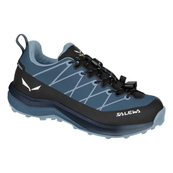 Salewa Maastojuoksukengät Wildfire 2 Ptx K Sininen EU 29 Poika