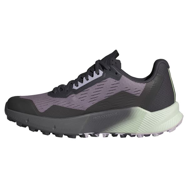 Adidas Trail Löparskor Terrex Agravic Flow 2 Goretex Grå EU 38 2/3 Kvinna