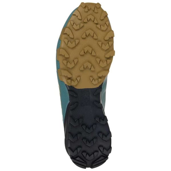 Dynafit Vandresko Traverse Goretex Blå EU 41 Mand