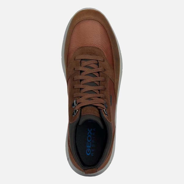 Geox Utbildare Spherica 4x4 Abx Brun EU 45 Man