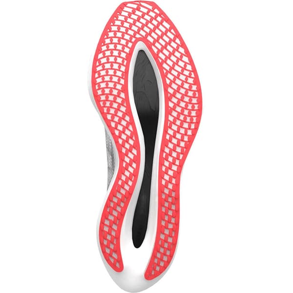 Mizuno Löparskor Wave Rebellion Pro 2 Grå EU 38 Kvinna