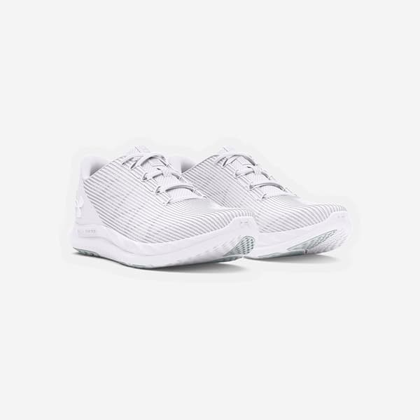 Under Armour Løbe Skoe Charged Speed Swift  EU 41 Mand