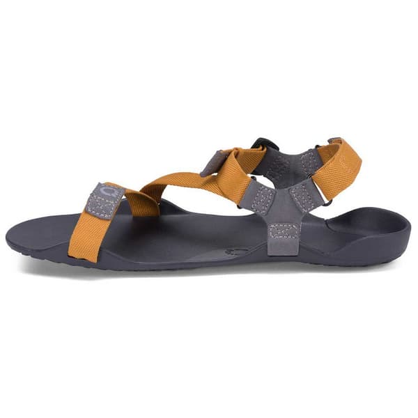 Xero Shoes Sandaalit Z-trek Ii Ruskea EU 43 Mies