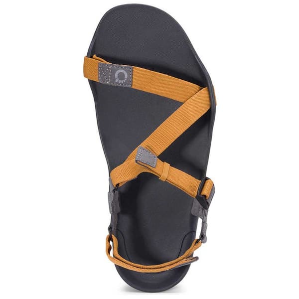 Xero Shoes Sandaalit Z-trek Ii Ruskea EU 43 Mies