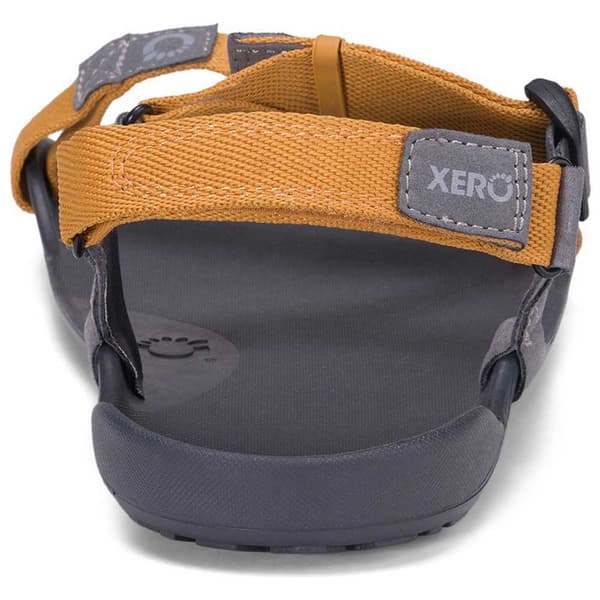 Xero Shoes Sandaalit Z-trek Ii Ruskea EU 43 Mies