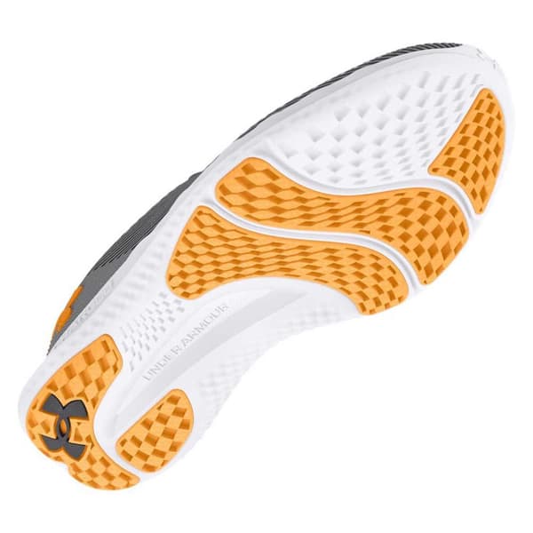 Under Armour Löparskor Charged Speed Swift Grå EU 41 Man