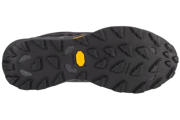 Mizuno Wave Daichi 8 GTX J1GJ245601, Mand, Løbesko, sort