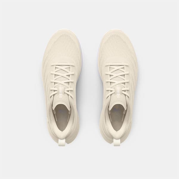Under Armour Løbe Skoe Velociti 3 Cooldown  EU 38 1/2 Kvinde