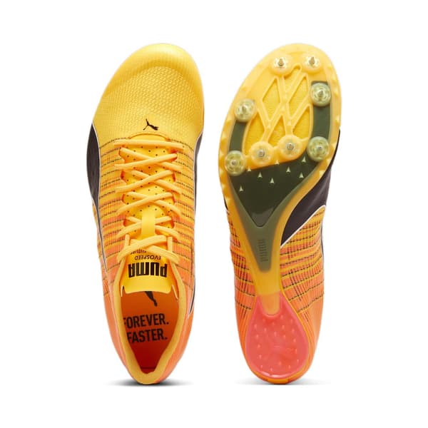 Puma Teamwear Evospeed Future 6 Löparskor Med Spikar Orange EU 43 Man