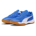 Pikkukuva 4 / 6: Puma Solarflash Iii Sisäkengät  EU 42 Mies