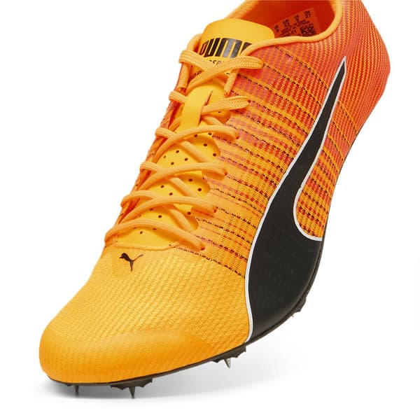 Puma Evospeed Future Fast Skor  EU 43 Man
