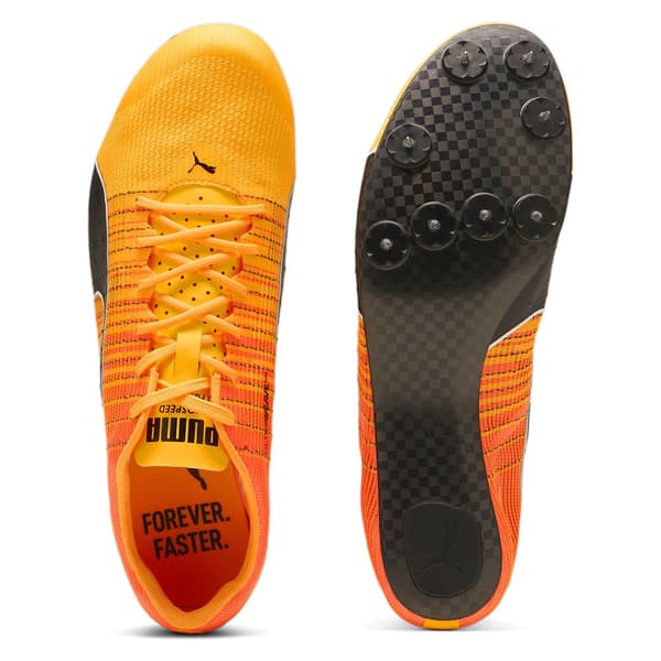Puma Evospeed Future Fast Skor  EU 45 Man