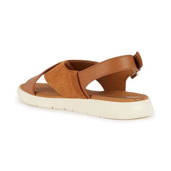 Geox Dandra Sandaler Brun EU 41 Kvinde