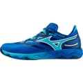 Pikkukuva 1 / 2: Mizuno Wave Medal Neo Sisäkengät Sininen EU 42 Mies