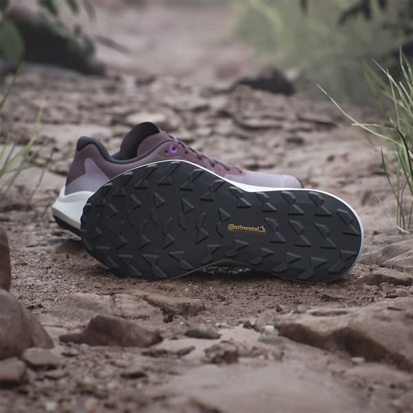 Adidas Terrex Agravic 3 Trailskor Lila EU 42 Kvinna