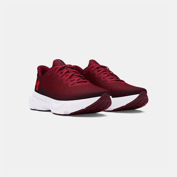 Under Armour Infinite Løbesko  EU 44 Mand
