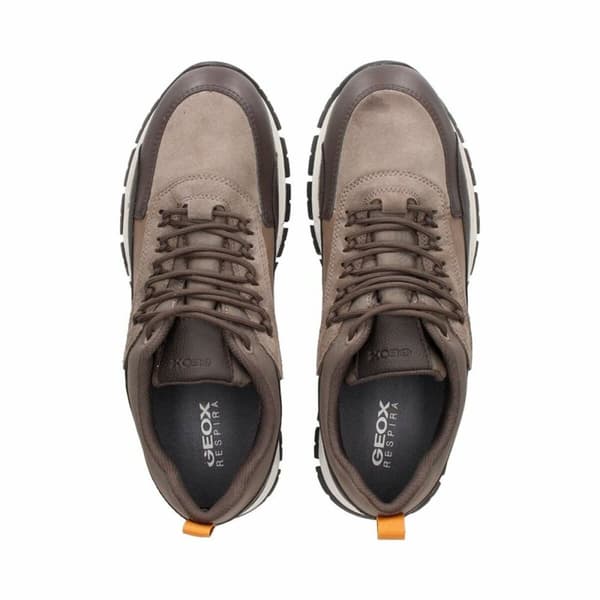 Joggesko til Menn Geox Doray Abx Dk Brun - 43