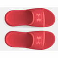 Pikkukuva 4 / 6: Naisten Flip-flopit Under Armour Ignite Select Punainen - 36.5