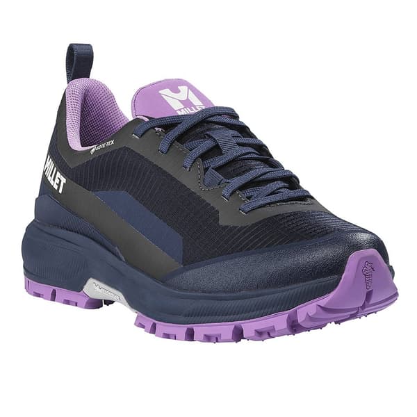 Millet Wanaka Goretex Vaelluskengät Sininen EU 42 Nainen