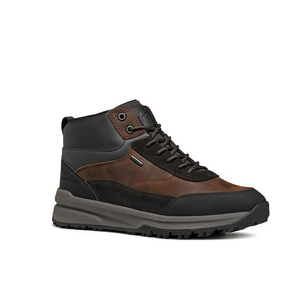 Geox U Sterratrail + Grip Sko Brun EU 42 Mand