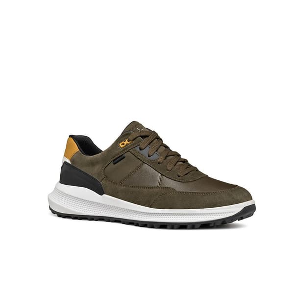 Geox Pg1x Abx Sko Grøn EU 44 Mand