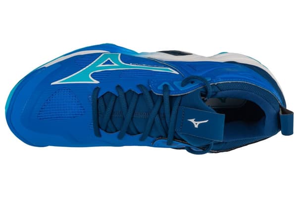 Mizuno Wave Momentum 3 V1GA231201, Man, Volleyboll skor, blå