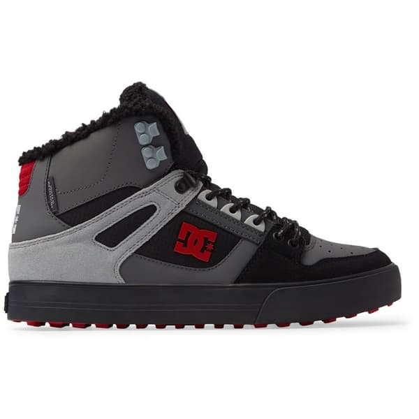 Dc Shoes Pure Wc Wnt Skor Grå EU 41 Man