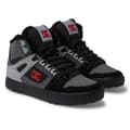 Miniatyrbild 1 av 6: Dc Shoes Pure Wc Wnt Skor Grå EU 41 Man