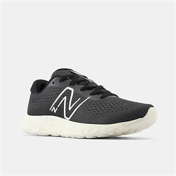 Løbesko til voksne New Balance 520 V8 Blacktop Sort Dame