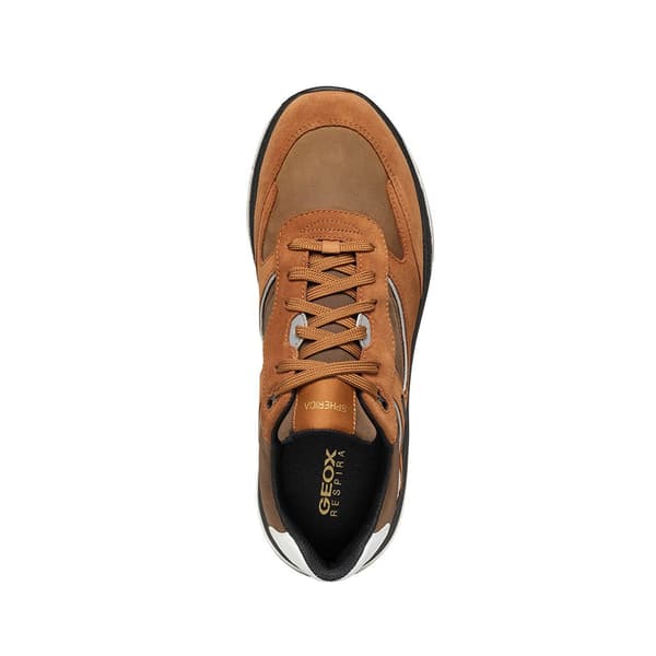 Geox U Spherica Actif X1 Skor Brun EU 43 Man