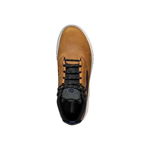 Geox U Aerantis 4x4 B Abx Booties Brun EU 40 Mand