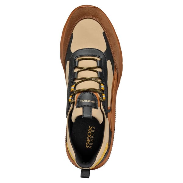 Geox U Spherica Actif D Sko Brun EU 43 Mand