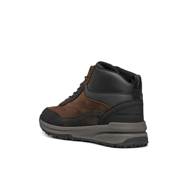 Geox U Sterratrail + Grip Lenkkarit Ruskea EU 43 Mies