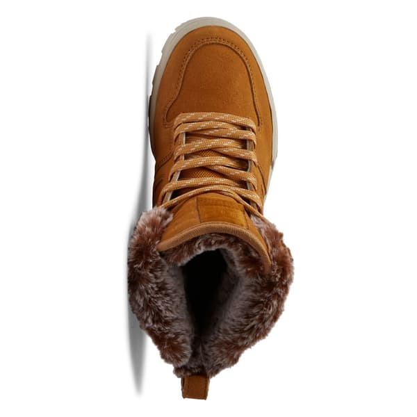 Dc Shoes Manteca 4 Sko Brun EU 37 Kvinde