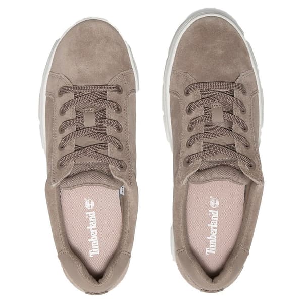 Timberland Laurel Court Lenkkarit Beige EU 41 Nainen