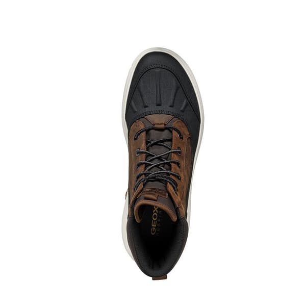 Geox U Nebula + Grip B Ab Skor Brun,Svart EU 42 Man