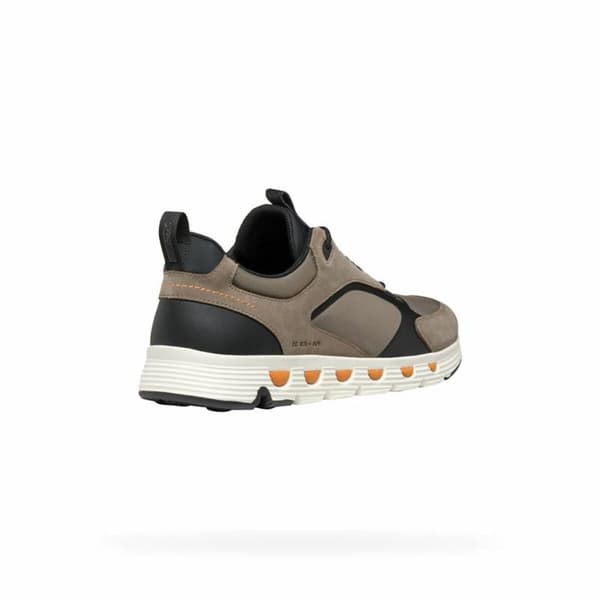 Joggesko for menn Geox Spherica Ecub-4 A - 41
