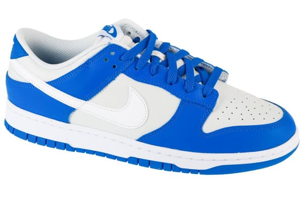 Nike Dunk Low FN3416-001, Man, Sneakers, grå