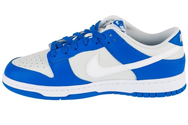 Nike Dunk Low FN3416-001, Mand, Sneakers, grå