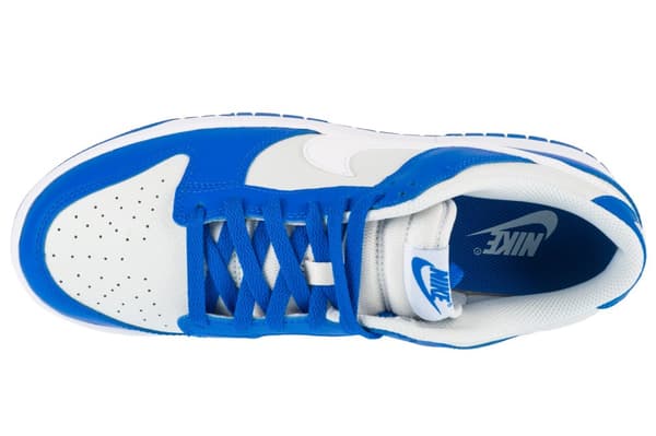 Nike Dunk Low FN3416-001, Mand, Sneakers, grå