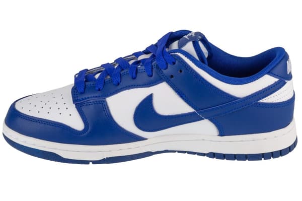 Nike Dunk Low Retro DV0833-103, Man, Sneakers, vit