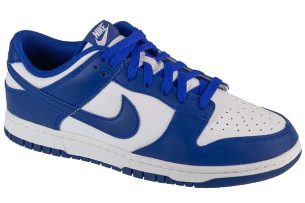 Nike Dunk Low Retro DV0833-103, Man, Sneakers, vit
