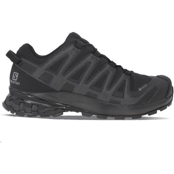 Salomon Xa Pro 3D v8 Gtx W - Svart - Dam - Regular