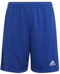 Miniatyrbillede 1 af 4: ADIDAS ENTRADA 22 HG6291 JR FODBOLDSHORTS