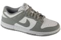 Miniatyrbild 1 av 4: Nike Wmns Dunk Low NN DD1873-113, Kvinna, Sneakers, grå