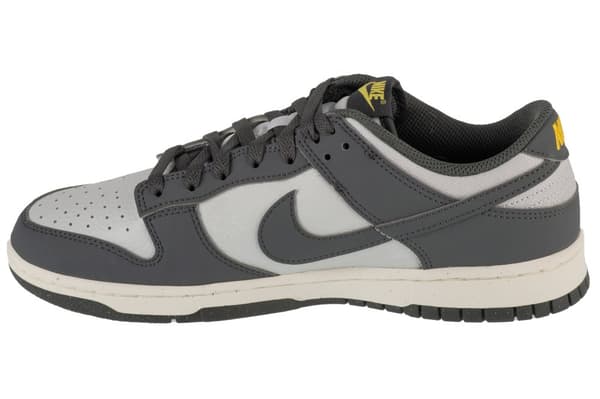 Nike Dunk Low NN FZ4621-001, Man, Sneakers, grå